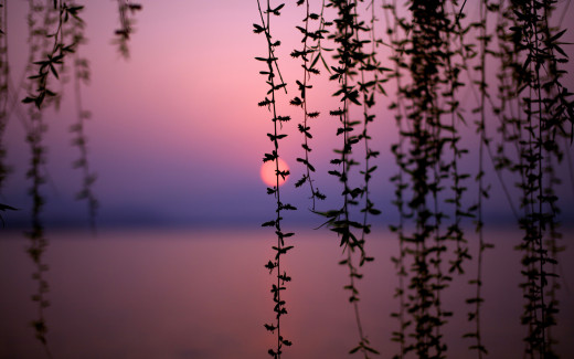 1111109 (a): :2560x1600